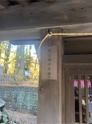 日之御子神社（北口本宮冨士浅間神社　境内）の参拝記録(⛩️🐍🐢まめ🐢🐍⛩️さん)