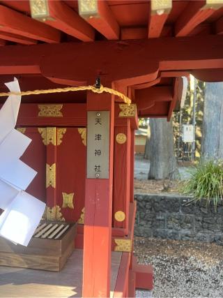 天津神社（北口本宮冨士浅間神社　境内）の参拝記録(⛩️🐍🐢まめ🐢🐍⛩️さん)