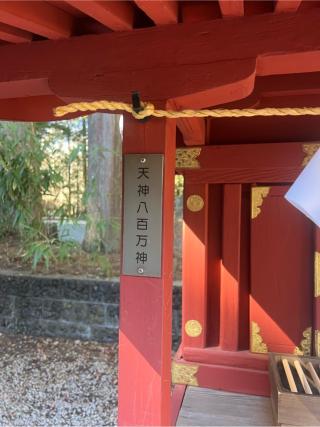 天津神社（北口本宮冨士浅間神社　境内）の参拝記録(⛩️🐍🐢まめ🐢🐍⛩️さん)