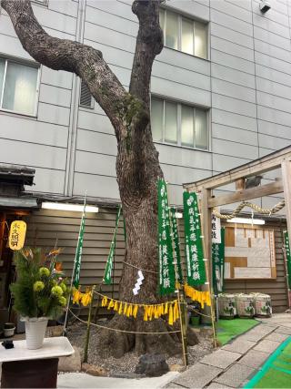 五社明神（少彦名神社　境内）の参拝記録(⛩️🐍🐢まめ🐢🐍⛩️さん)