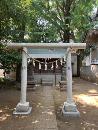 津島神社（神明氷川神社境内社）の参拝記録(⛩️🐍🐢まめ🐢🐍⛩️さん)