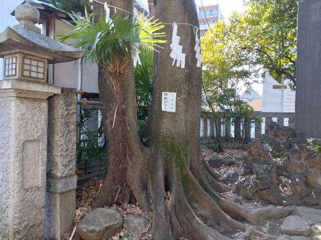 縁結びの木（神明氷川神社）の参拝記録1