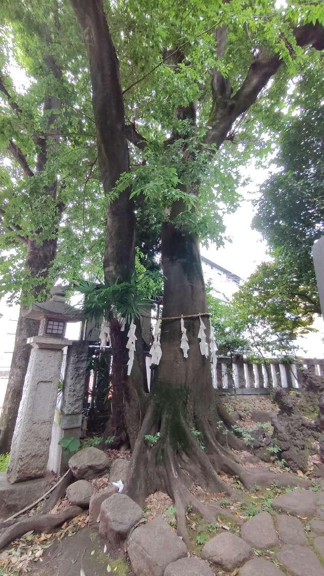 縁結びの木（神明氷川神社）の参拝記録2