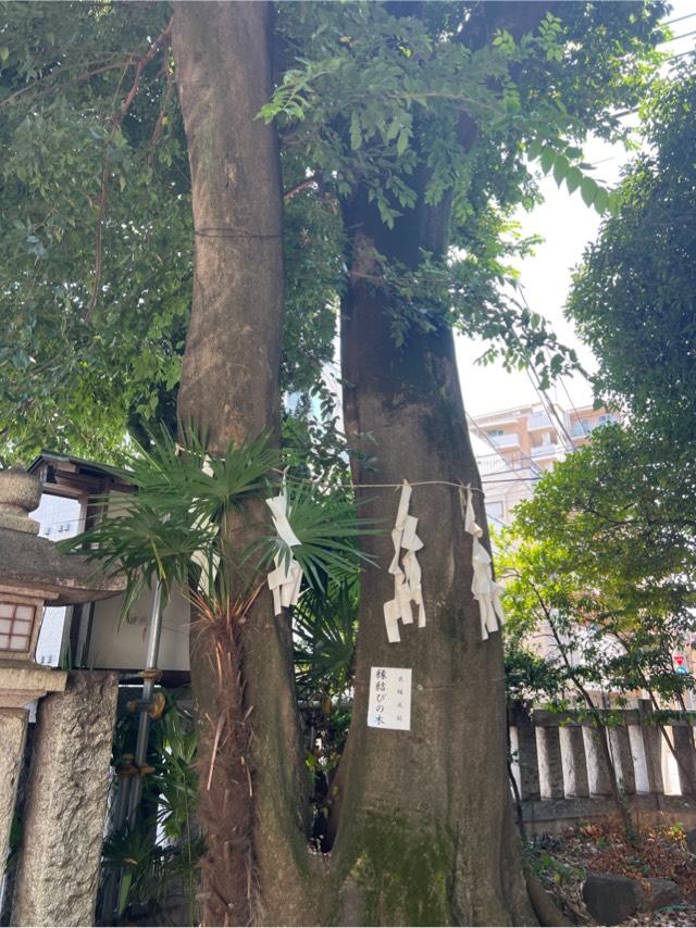 縁結びの木（神明氷川神社）の参拝記録1