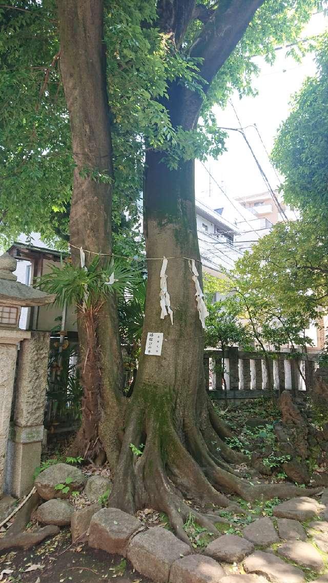 縁結びの木（神明氷川神社）の参拝記録1