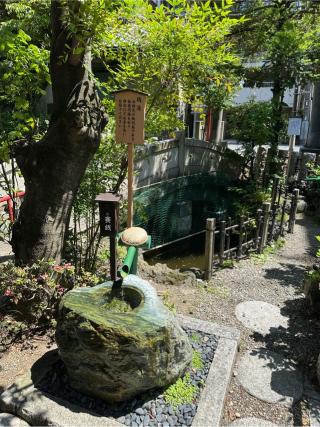 銭洗弁財天（江島杉山神社境内社）の参拝記録(牛丼じじいさん)