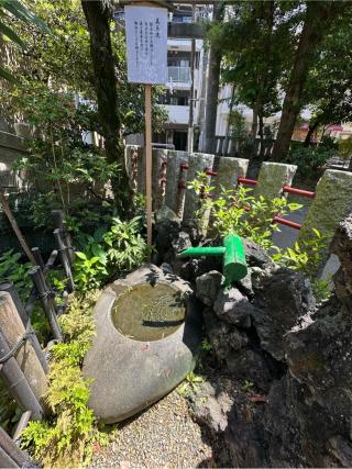 銭洗弁財天（江島杉山神社境内社）の参拝記録(牛丼じじいさん)