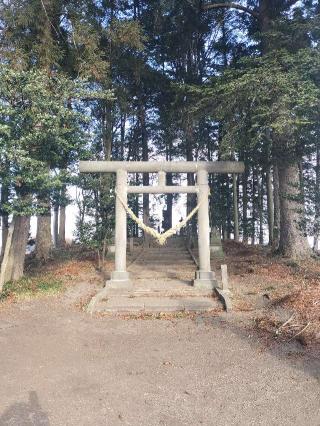 西郷神社の参拝記録(さとみさん)