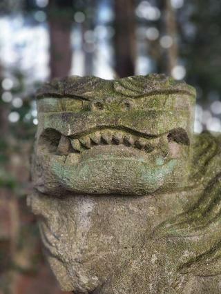 西郷神社の参拝記録(たけちゃ～ん⚾さん)