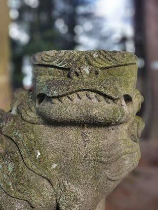西郷神社の参拝記録(たけちゃ～ん⚾さん)
