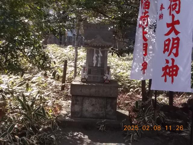 埼玉県所沢市中富月野原1507 稲荷神社（神明社境内）の写真2