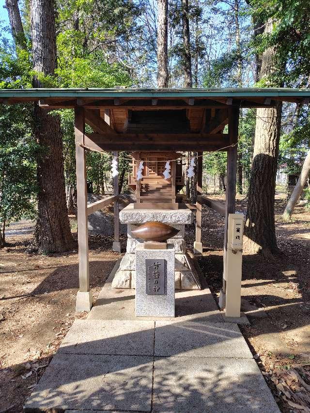 いも神様(神明社境内)の参拝記録1