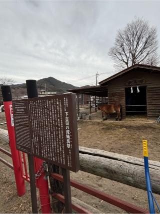 御神馬(小室浅間神社 境内）の参拝記録(マ　ノ　さん)