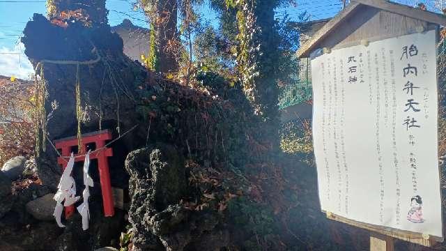 山梨県富士吉田市下吉田3-32-18 胎内弁天社(小室浅間神社 境内社）の写真2