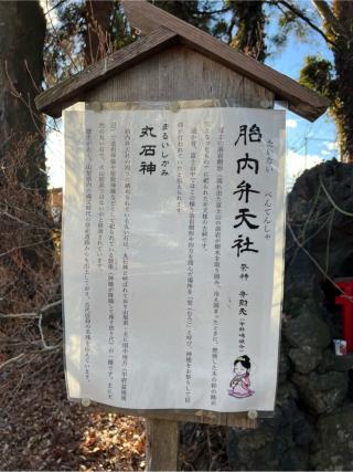 胎内弁天社(小室浅間神社 境内）の参拝記録(⛩️🐍🐢まめ🐢🐍⛩️さん)