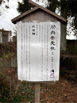 胎内弁天社(小室浅間神社 境内社）の参拝記録(⛩️🎠🐢まめ🐢🎠⛩️さん)
