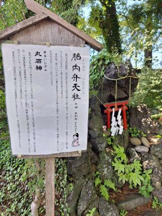 胎内弁天社(小室浅間神社 境内社）の参拝記録(まーさんさん)