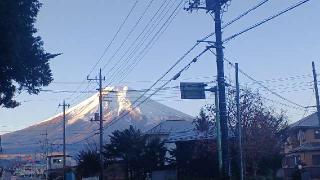 御神馬（北東本宮小室浅間神社境内）の参拝記録(SFUKUさん)