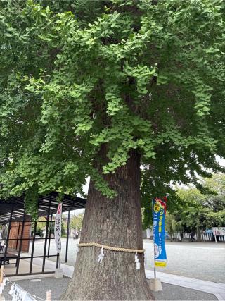 車のお祓い所（伊勢原大神宮）の参拝記録(⛩️🐍🐢まめ🐢🐍⛩️さん)