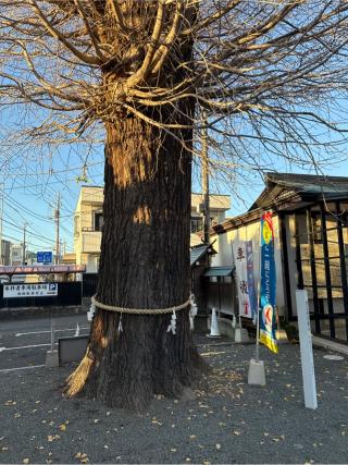 車のお祓い所（伊勢原大神宮）の参拝記録(⛩️🐍🐢まめ🐢🐍⛩️さん)