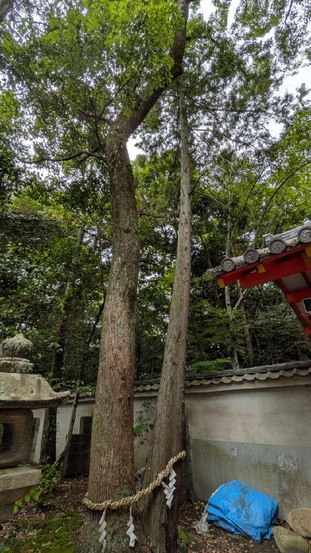 異木の夫婦ご神木の参拝記録1