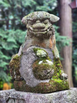 龍神社の参拝記録(たけちゃ～ん⚾さん)