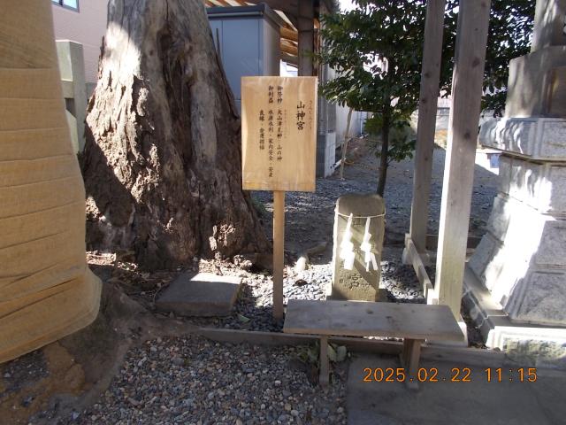 山神宮（芳川神社境内）の写真1