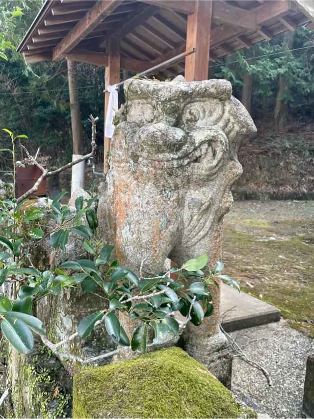 徳島県徳島市上八万星河内78 八大龍王神社の写真2