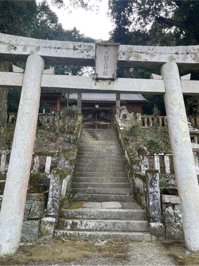 徳島県徳島市上八万星河内78 八大龍王神社の写真3