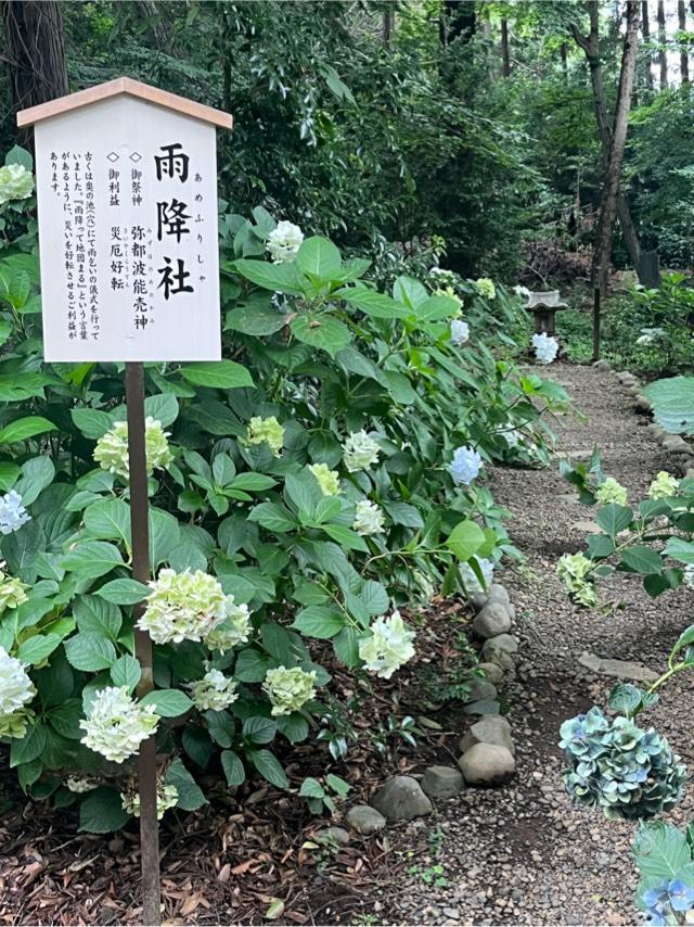 雨降社(結城諏訪神社内)の参拝記録1