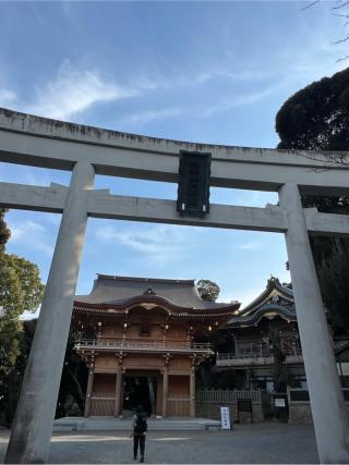 大鳥居(大甕倭文神宮)の参拝記録(⛩️🐍🐢まめ🐢🐍⛩️さん)