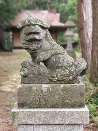 星宮神社の参拝記録(たけちゃ～ん⚾さん)
