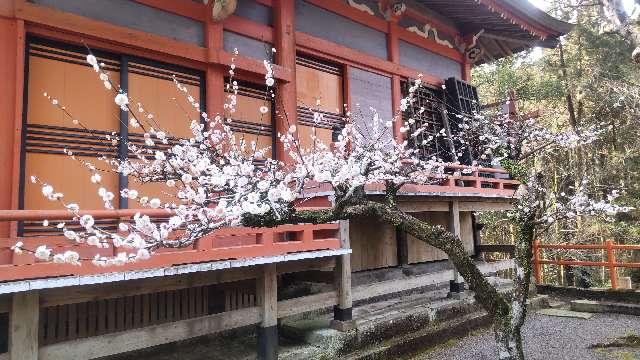 天満神社（榎原神社境内末社）の参拝記録1