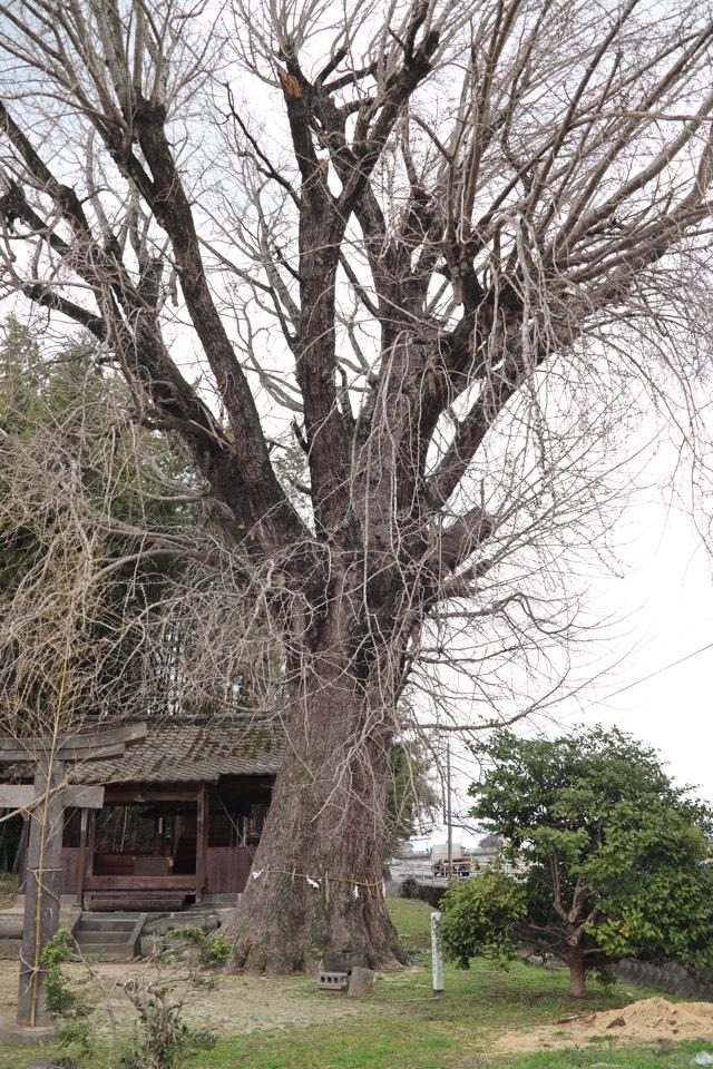 熊本県熊本市南区城南町阿高 竹下水神の写真3