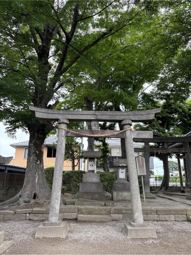 天神社（谷中稲荷神社境内）の参拝記録1