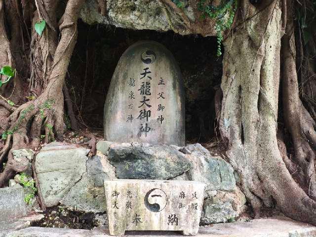 天龍大御神（父龍）の参拝記録1