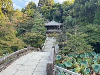 納骨堂の参拝記録(ひろたかさん)