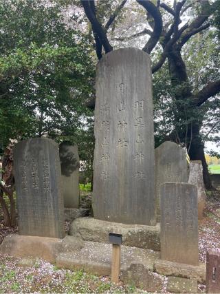 月山大神　羽黒山大神　湯殿山大神（子安神社　境内社）の参拝記録(⛩️🐍🐢まめ🐢🐍⛩️さん)