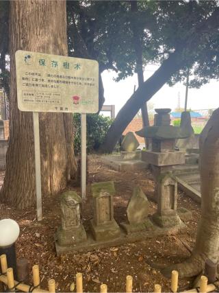 白山神社（子安神社　境内社）の参拝記録(⛩️🐍🐢まめ🐢🐍⛩️さん)
