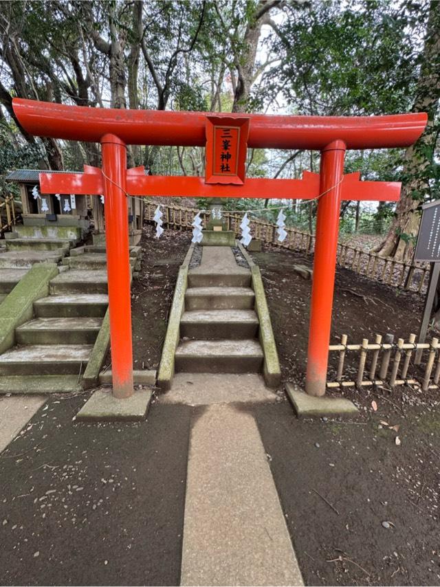 三峯神社（子安神社　境内社）の参拝記録3