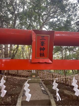 三峯神社（子安神社　境内社）の参拝記録(⛩️🐍🐢まめ🐢🐍⛩️さん)