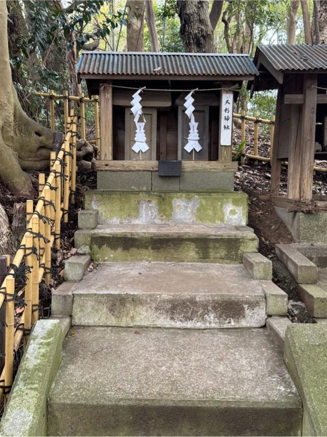 大杉神社（子安神社　境内社）の参拝記録3