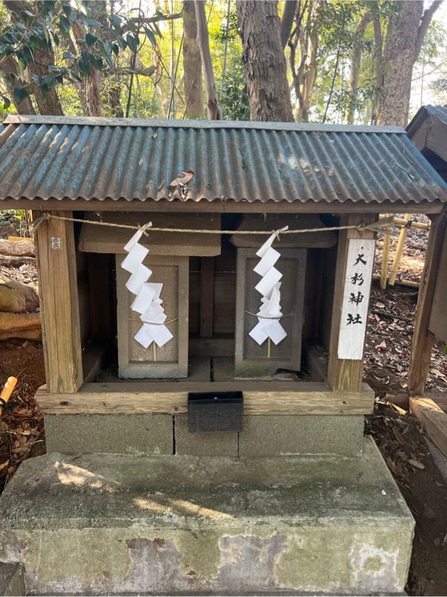 大杉神社（子安神社　境内社）の写真1