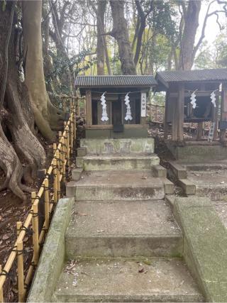 大杉神社（子安神社　境内社）の参拝記録(⛩️🐍🐢まめ🐢🐍⛩️さん)