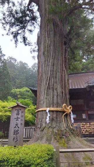富士守稲荷社（北口本宮富士浅間神社境内社）の参拝記録(viviさん)