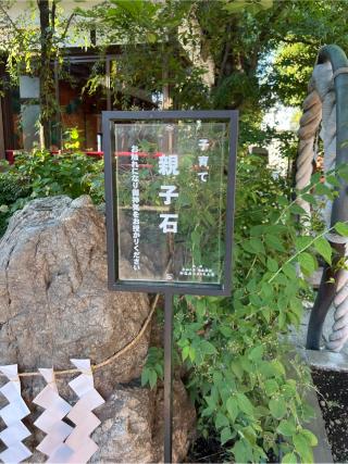 子育て親子石（田無神社）の参拝記録(⛩️🐍🐢まめ🐢🐍⛩️さん)