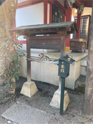 子育て犬（田無神社）の参拝記録(⛩️🐍🐢まめ🐢🐍⛩️さん)