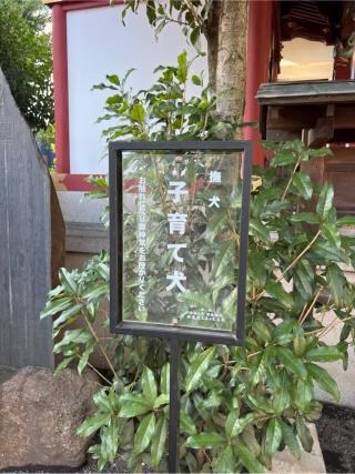 子育て犬（田無神社）の参拝記録(⛩️🐍🐢まめ🐢🐍⛩️さん)
