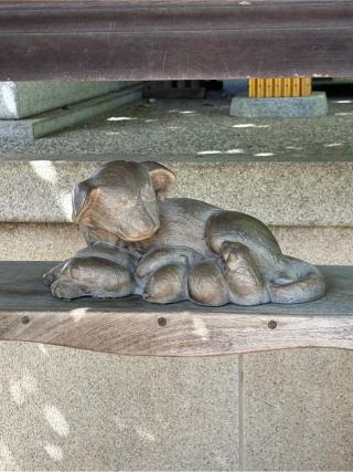 子育て犬（田無神社）の参拝記録(色部優兎さん)