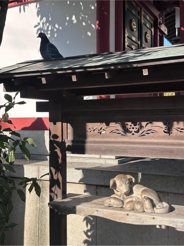 子育て犬（田無神社）の参拝記録2
